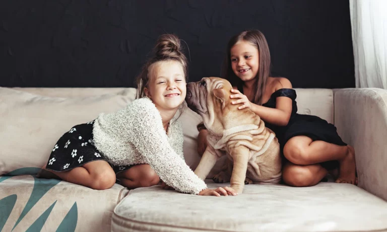 pets and children